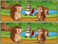 Spot The Differences Forests